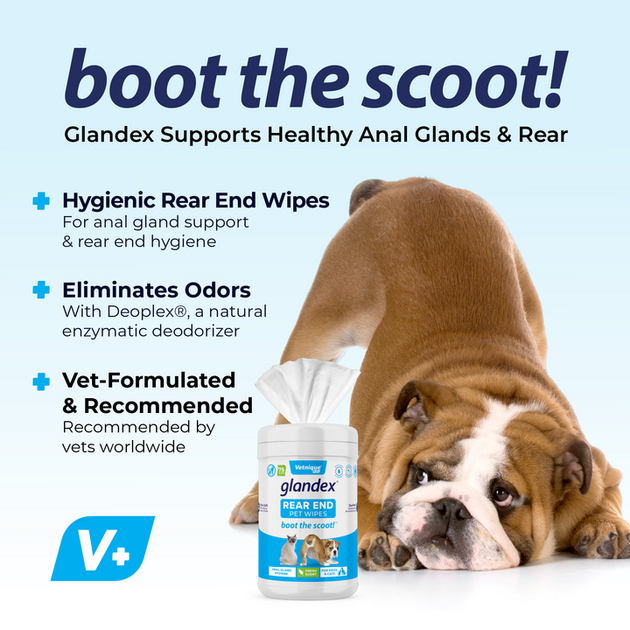 Dog bottom outlet wipes