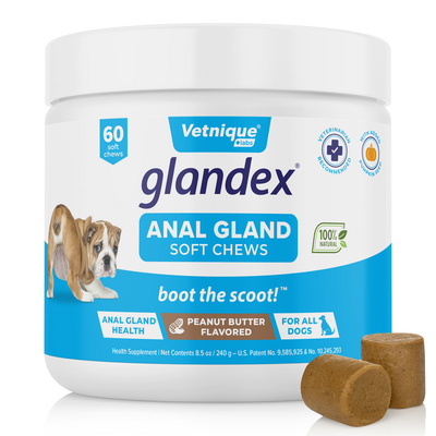 Glandex® Anal Gland Supplement for Dogs with Pumpkin