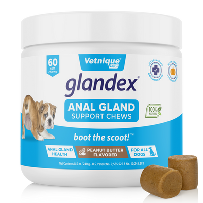 Glandex® Anal Gland Supplement for Dogs with Pumpkin