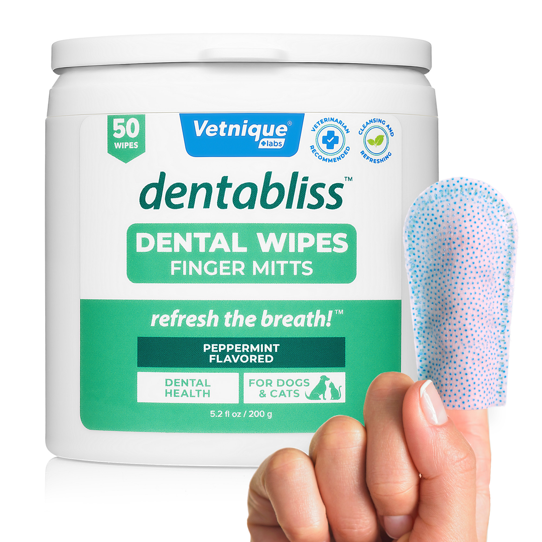 NEW Dentabliss Daily Dental Wipes Finger Mitts 50 Count Jar Glandex