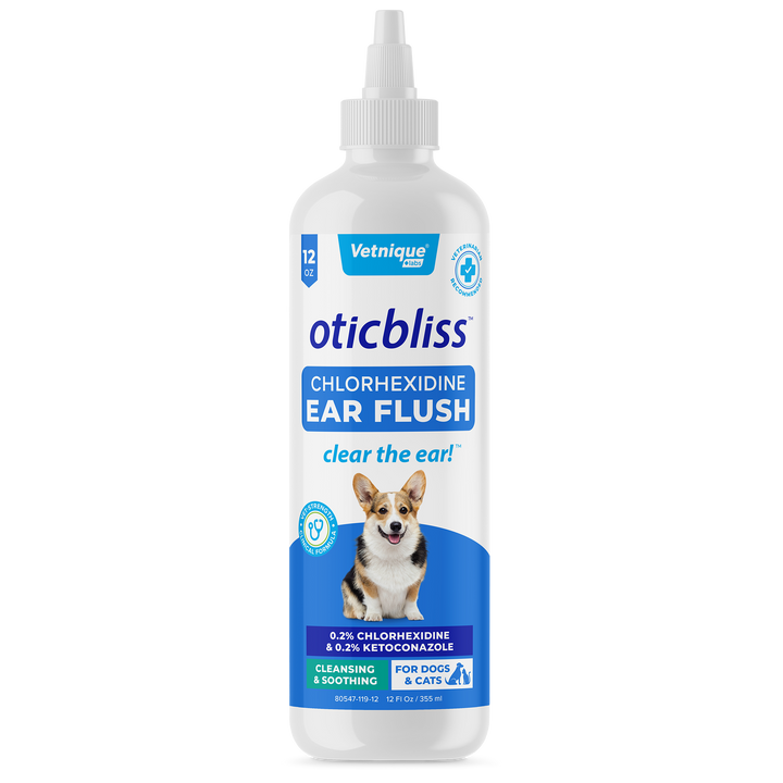 Antifungal oral medication for dogs hotsell