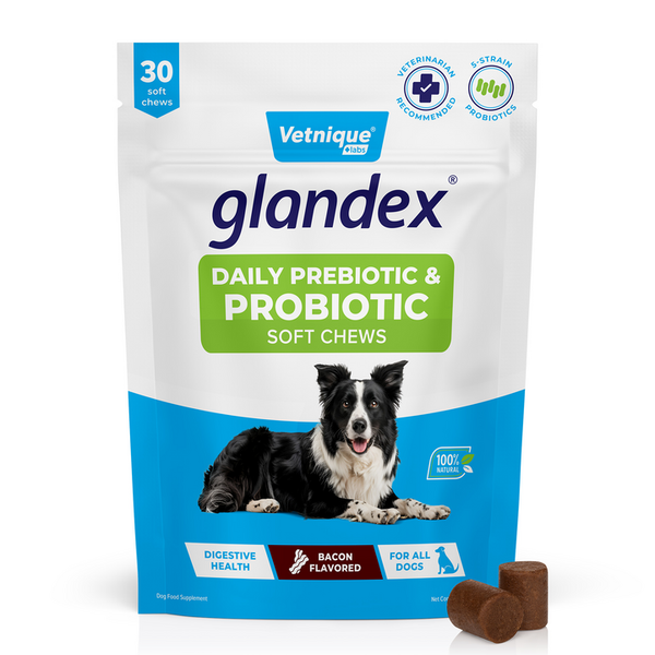 Glandex® Daily Prebiotic & Probiotic Soft Chews