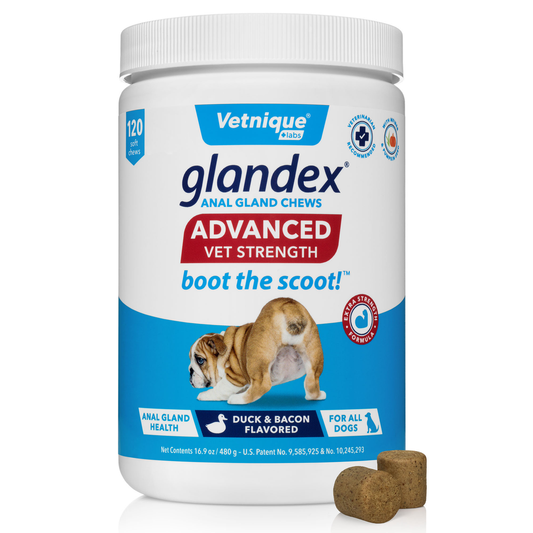 Glandex chews uk hotsell