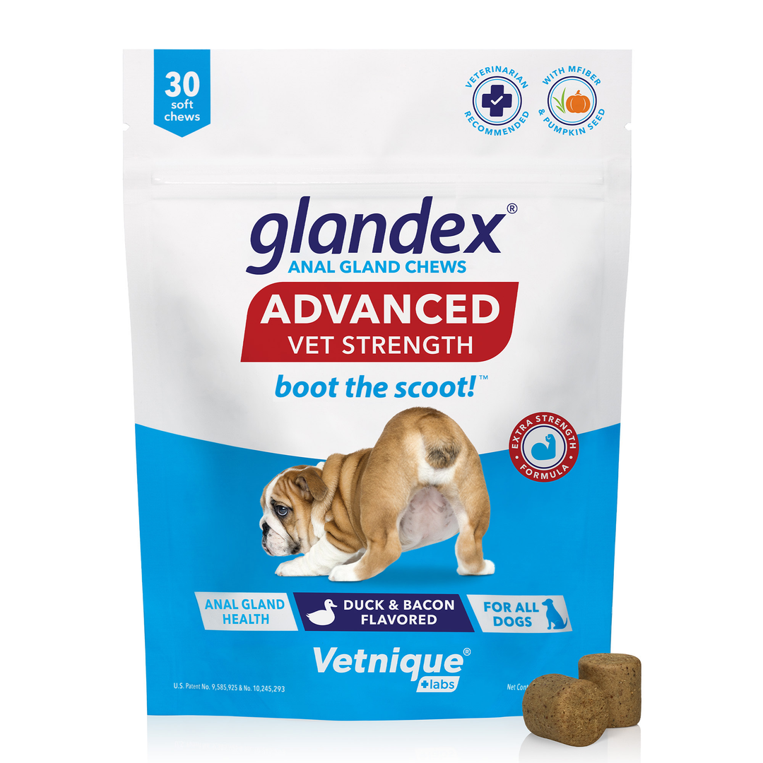 Glandex powder for dogs hotsell