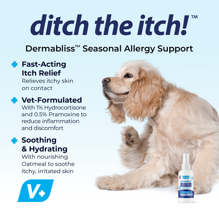 Dermabliss Anti Itch Allergy Relief Spray Glandex