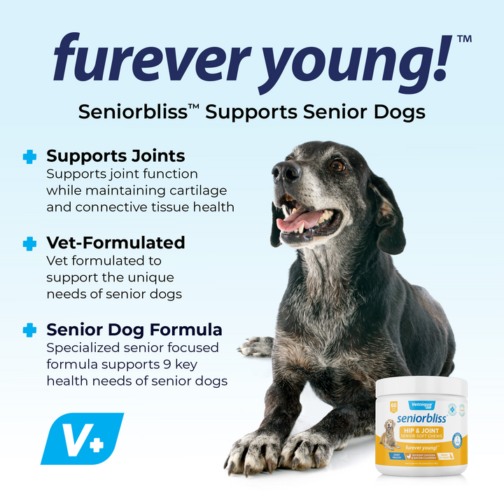 Seniorbliss™ Hip & Joint Supplement for Senior Dogs