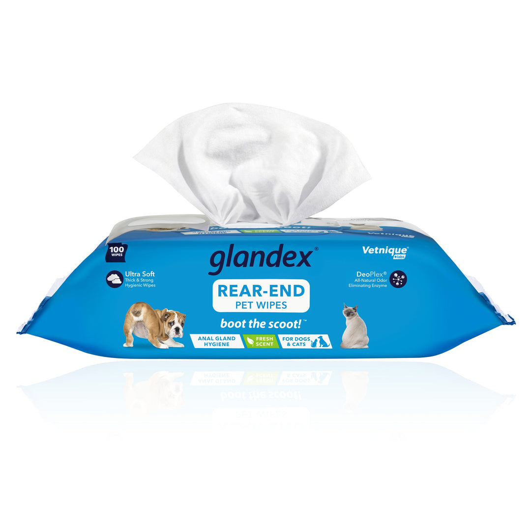 Glandex Anal Gland Hygienic Pet Wipes 100 Fresh Scented Wipes