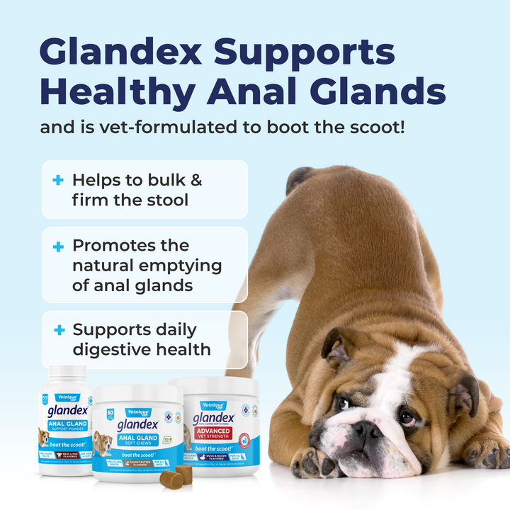 Glandex® Anal Gland Supplement for Dogs with Pumpkin