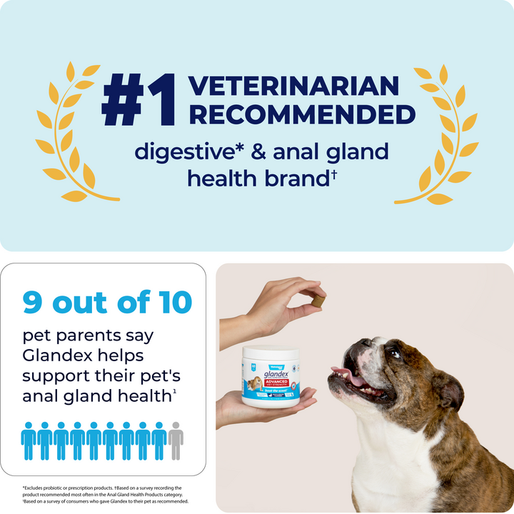 Glandex® Advanced Medicated Anal Gland Chews for Dogs