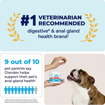 Glandex® Advanced Medicated Anal Gland Chews for Dogs