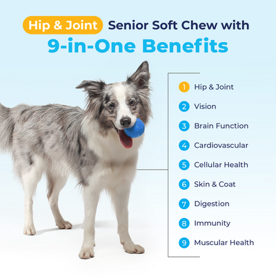 Seniorbliss™ Hip & Joint Supplement for Senior Dogs