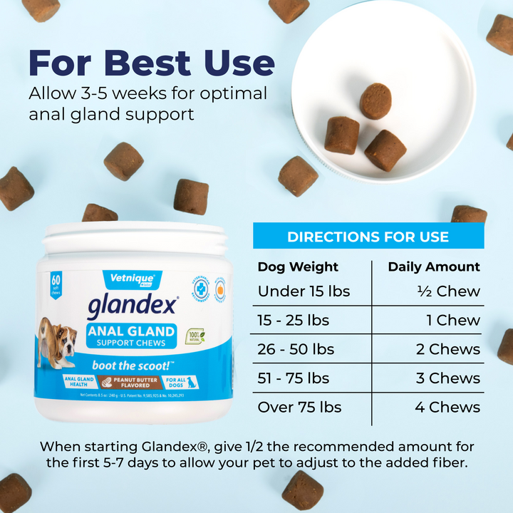 Glandex® Anal Gland Supplement for Dogs with Pumpkin