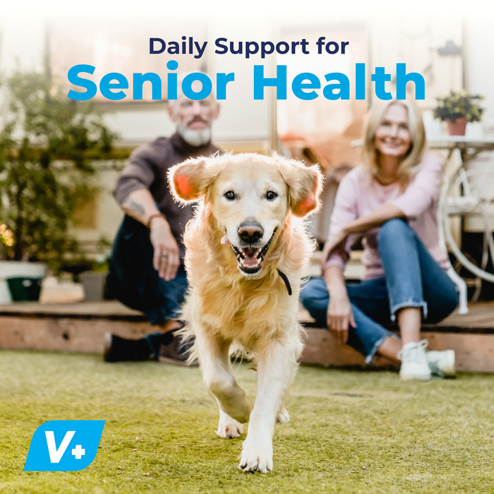 Seniorbliss™ Hip & Joint Supplement for Senior Dogs