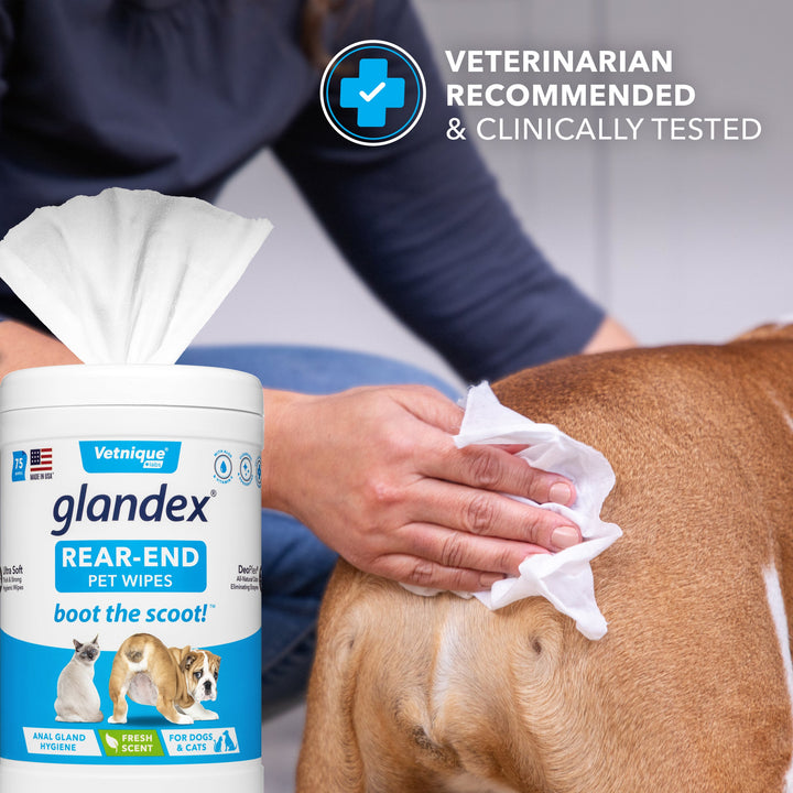 Glandex wipes for dogs hotsell