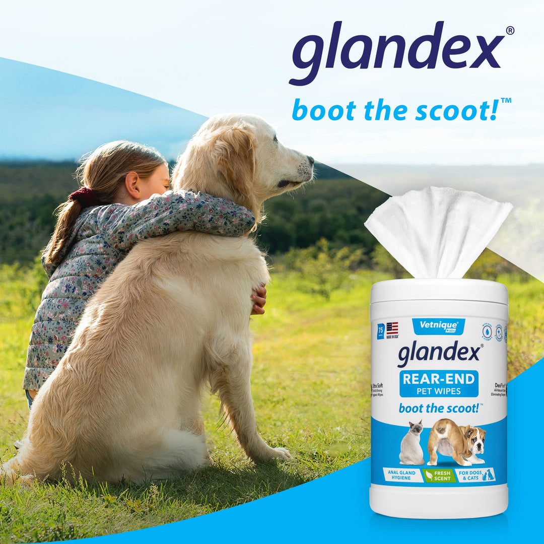 Glandex Anal Gland Hygienic Pet Wipes 100 Fresh Scented Wipes