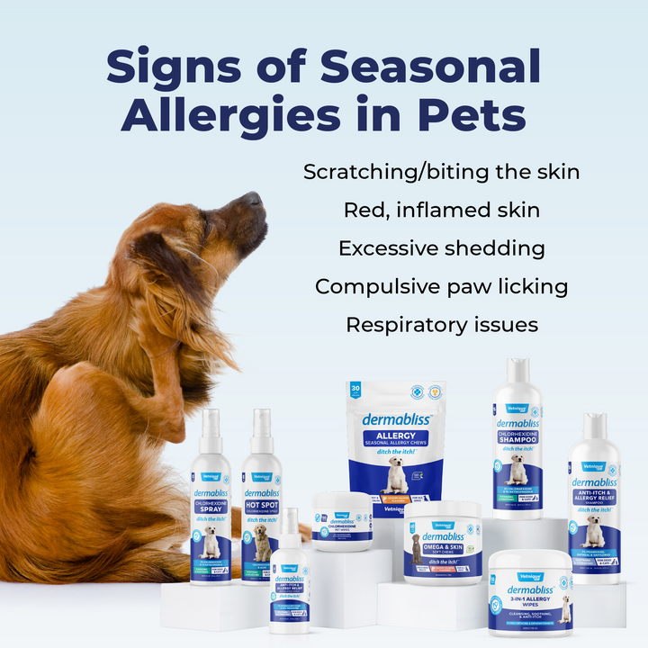 Fatty acids for dogs orders allergies