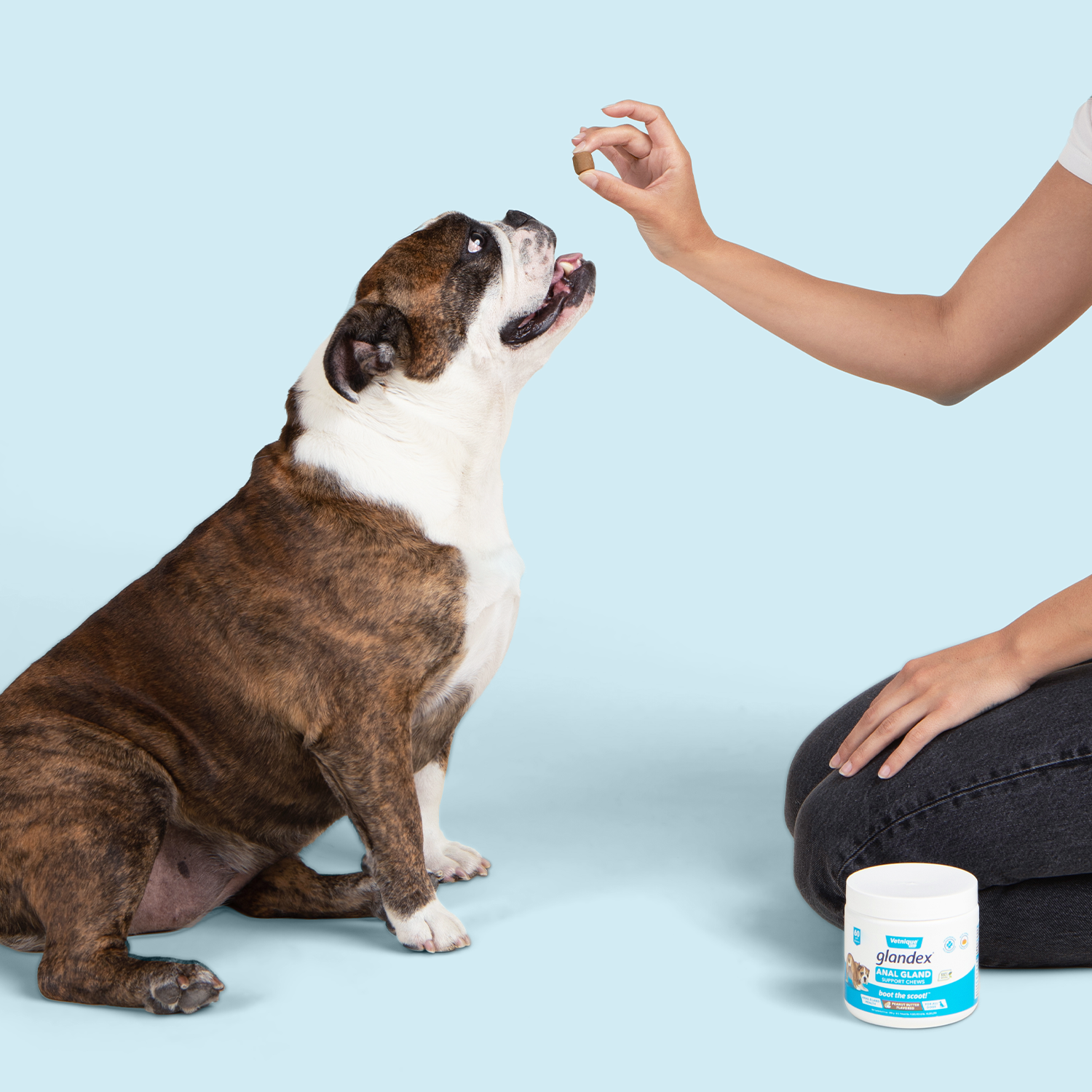 Glandex® Supplements for Anal Gland Support in Dogs & Cats