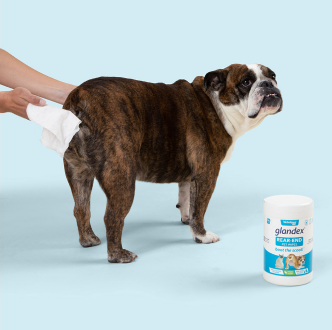 Glandex Anal Gland Digestive Support for Dogs Cats