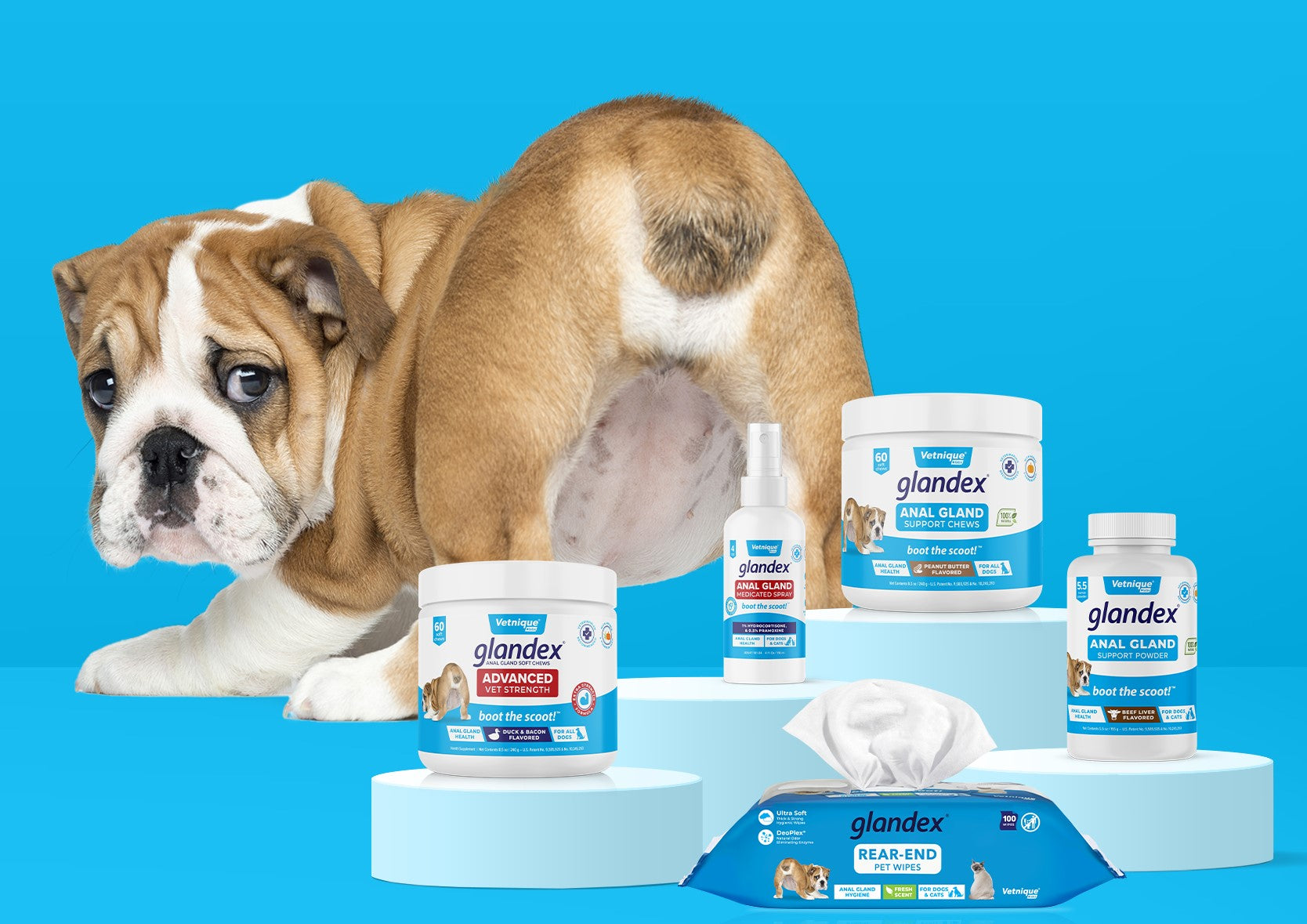 Glandex for dogs walmart best sale