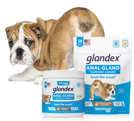 Glandex® Supplements for Anal Gland Support in Dogs & Cats